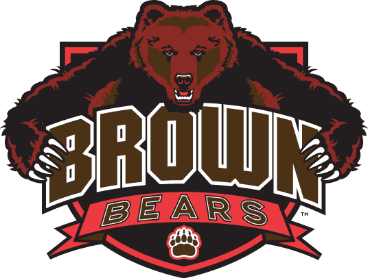 Brown Bears 2003-2011 Alternate Logo Print Decal